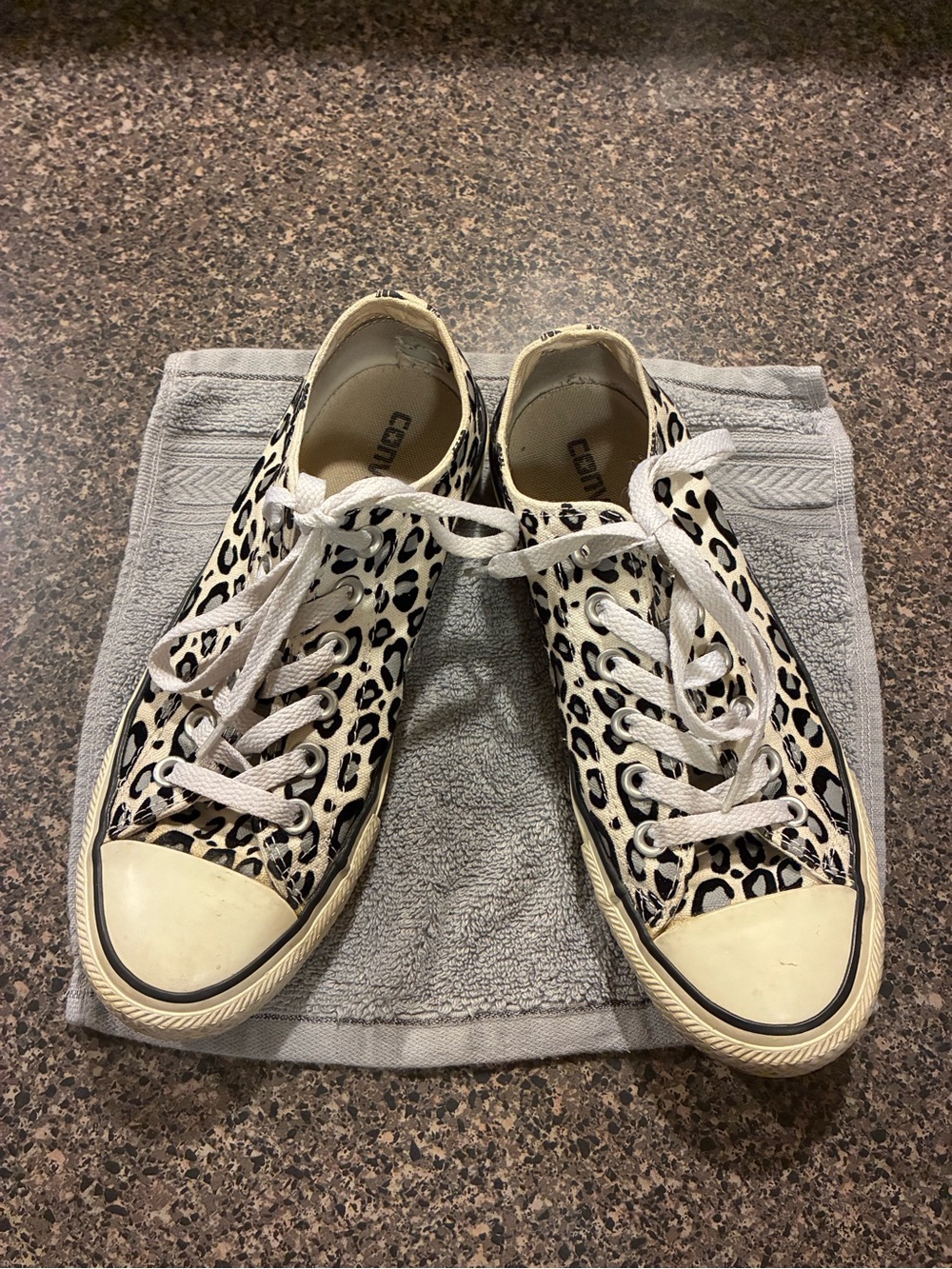 Converse Leopard Print Low Top Sneakers - M5/W7